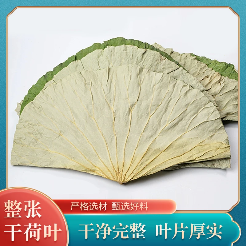 荷叶10张 荷叶整张荷叶干荷叶荷叶荷叶鸡原料