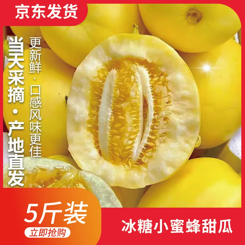 【升级京东快递】冰糖脆大黄冰糖脆甜瓜小蜜蜂香瓜5斤-现摘现发安徽省