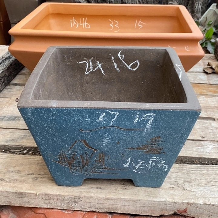 花盆紫砂只顾看电视