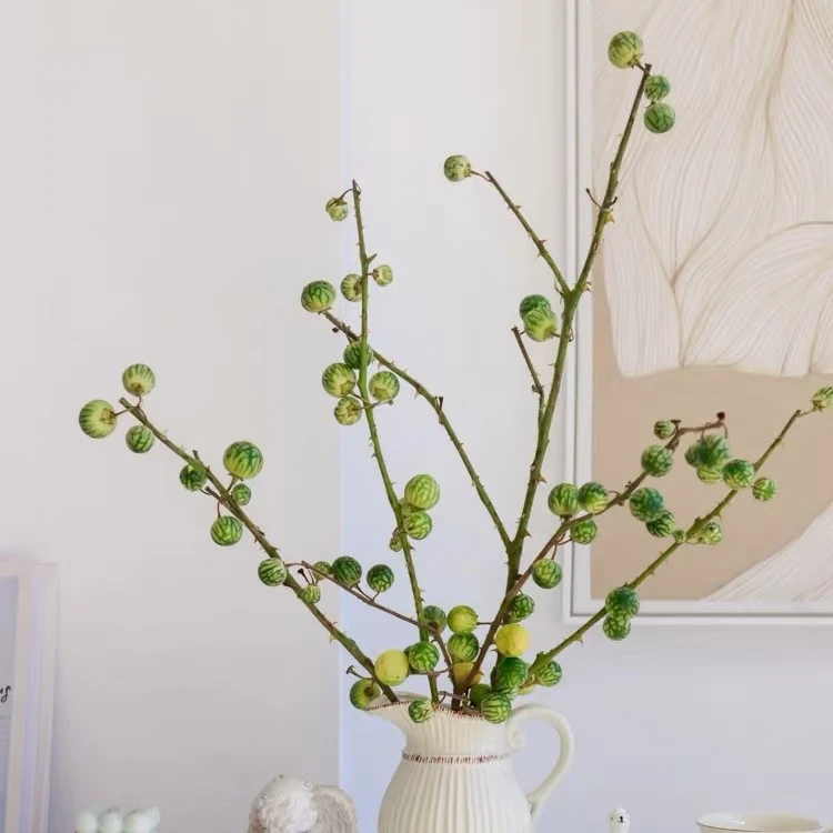 小众趣味观赏小西瓜鲜切枝插花水养装饰