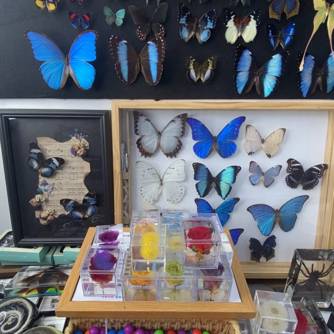 有机玻璃靓****神