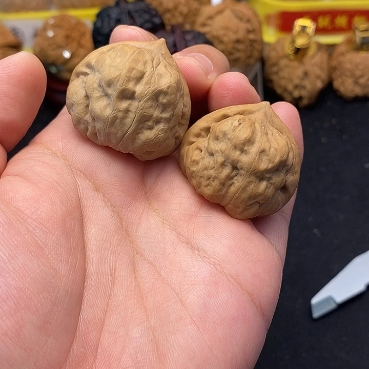 吊坠龙脊菩提古蝉