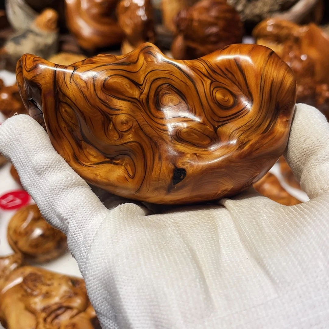 柏木（崖柏）太行崖柏