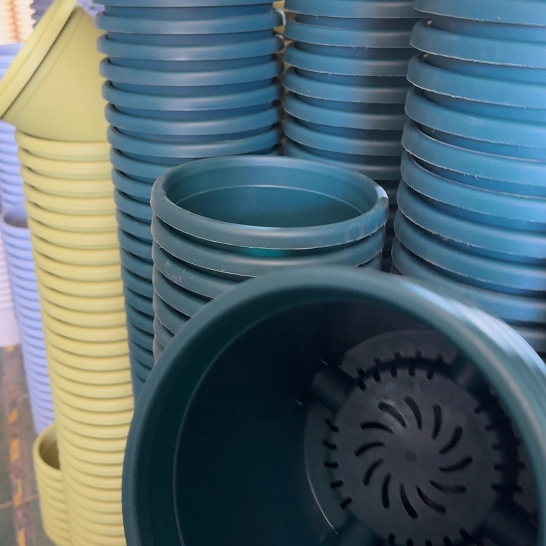 树脂四季3号无托10个颜色留言