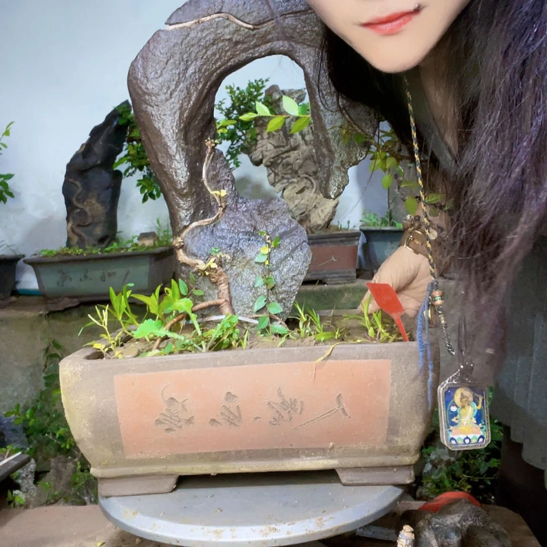 李***明直播间不见不散年