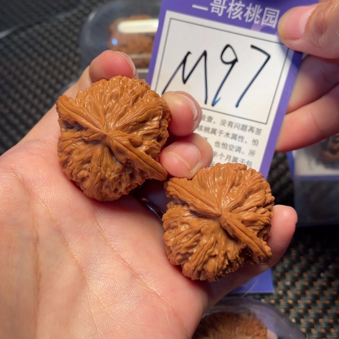 桃核把件M97号白狮子40