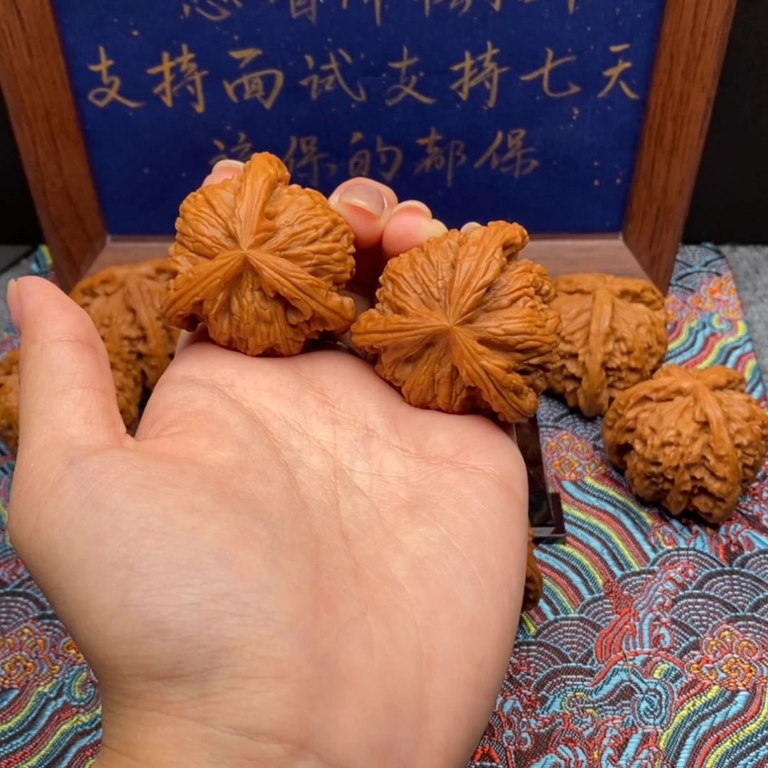 【闪购商品】凡*林白狮