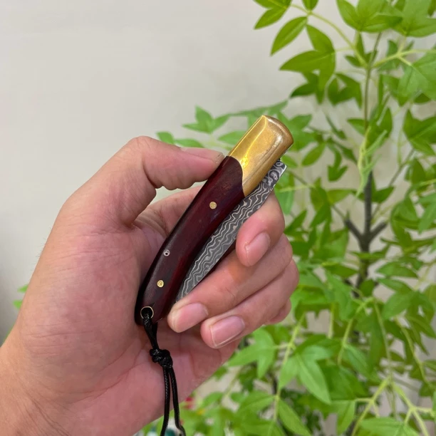 大马士革锻打折叠水果刀67层夹钢