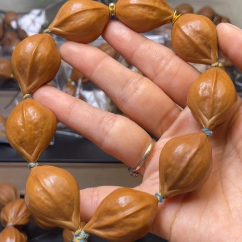 手串/手链贝壳橄榄核2.3/9/90