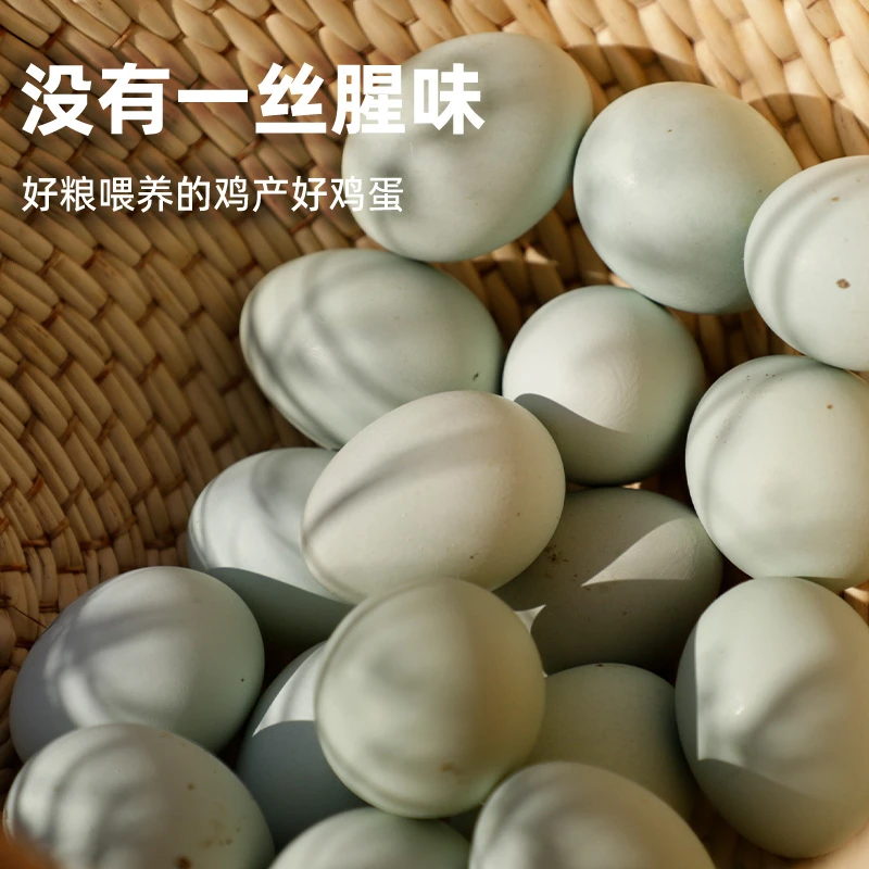 当归鸡蛋【绿壳蛋】高山散养土鸡蛋营养优选月子蛋正宗土鸡蛋鸡蛋
