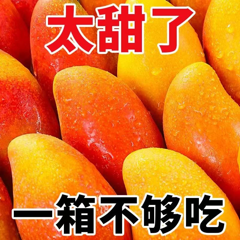 正宗贵妃芒果5斤新鲜水果新鲜芒果当季现摘整箱包邮需催熟食用