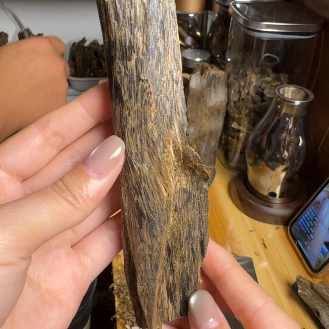 沉香白奇陆河品种虫漏香25克