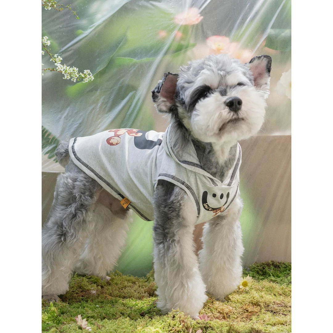 个性狗狗衣服宠物背心连帽衫夏季薄款防晒小型犬猫咪雪纳瑞衣服潮