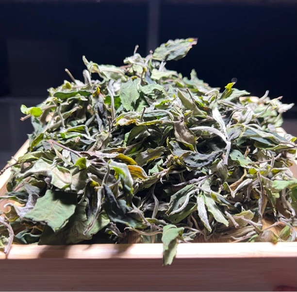 （荒山白茶）2025头春-口感有山间草木的清甜、野韵花香