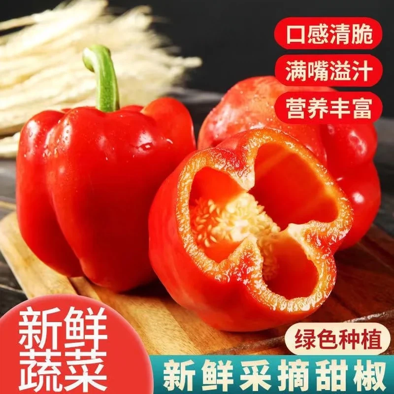 【顺丰生鲜】包装精美【盒马/山姆选品】山东寿光五彩椒应季蔬菜水果