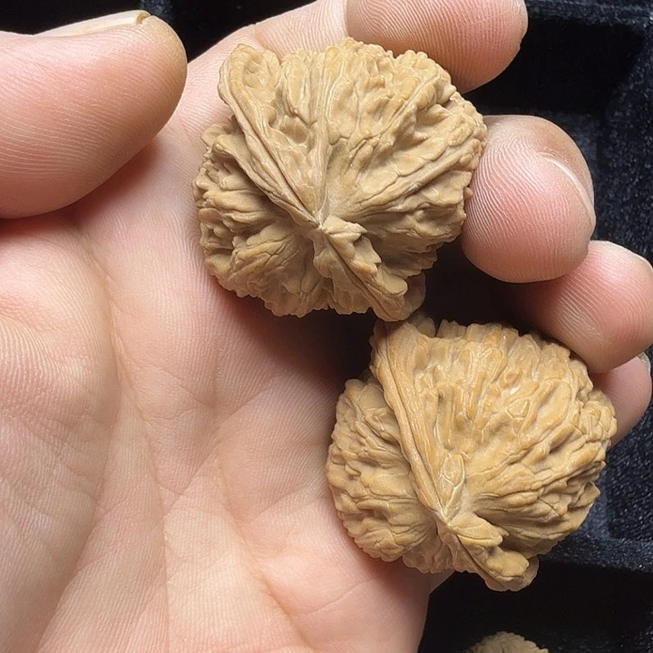 核桃手串/手链白狮子41全品