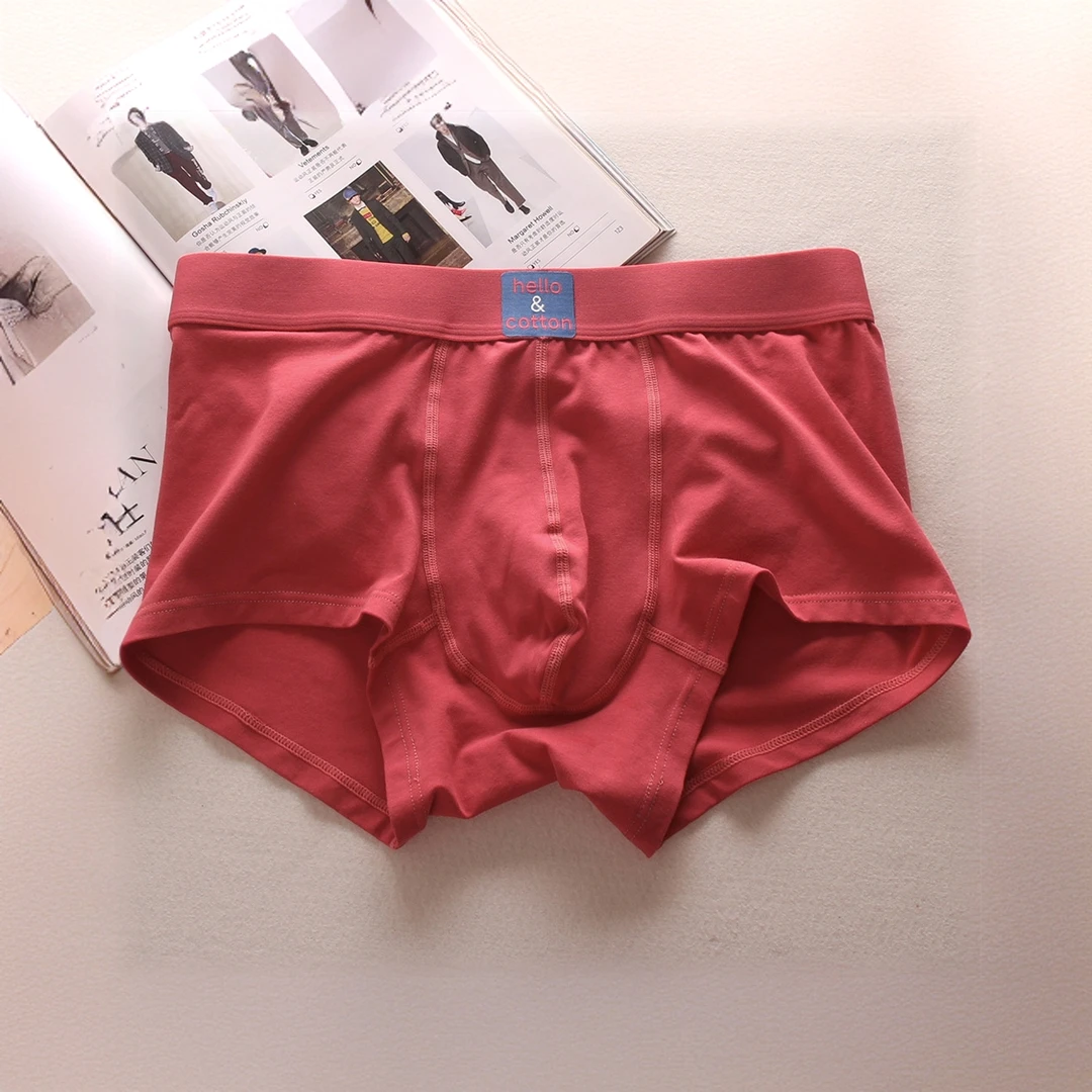 TERINELO/黛芮奈勒高端优质棉中腰舒适男士内裤日系简约素色