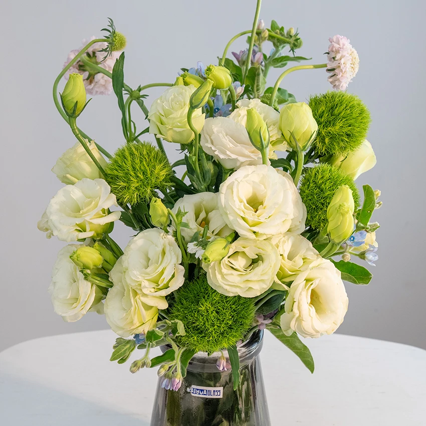 【氧气花园】200g白桔梗+一把绿毛球+一把蓝星花+一把樱花粉松虫草