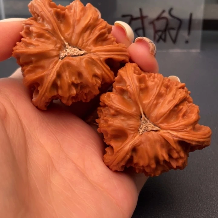 用***2文玩核桃吊坠白狮子