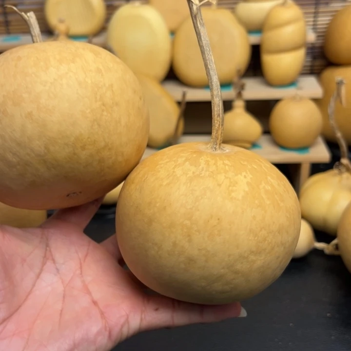 ?*?葫芦葫芦葫芦葫芦葫芦