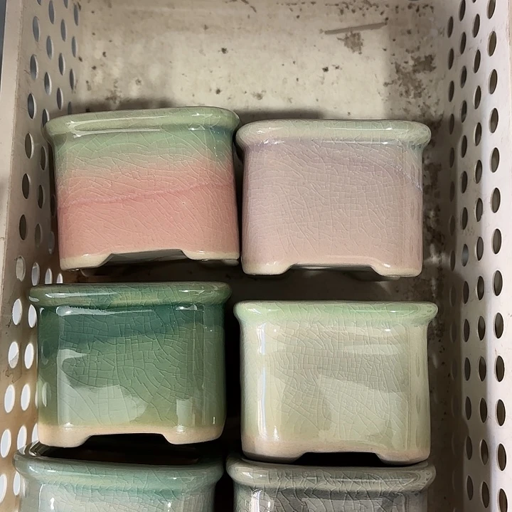 红陶发6个，非完美，介意慎拍。