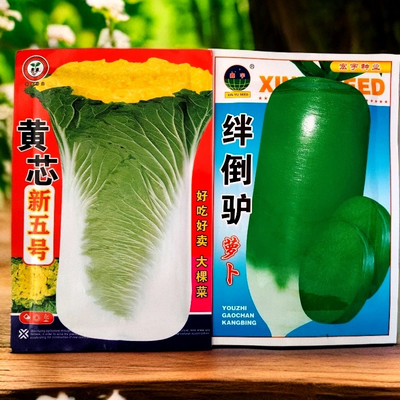 黄芯新五号白菜籽送萝卜籽