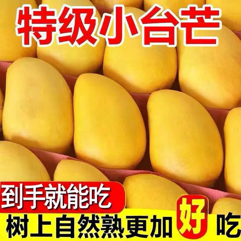 新鲜小台农香甜产地直发新鲜芒果海南水果当季热卖