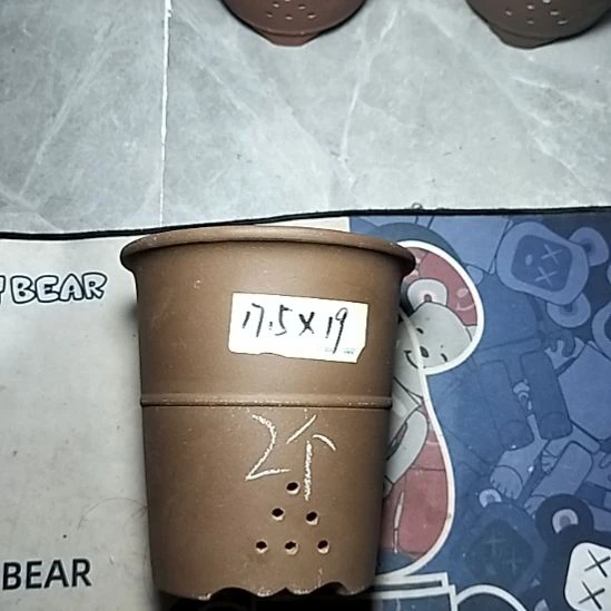 腰缠万贯两个微瑕