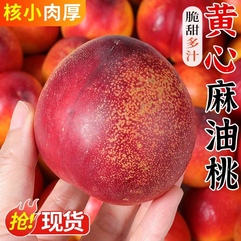 【高书记助农】山东蒙阴黄心麻油桃5斤脆甜黄肉红油桃包邮 当季水果