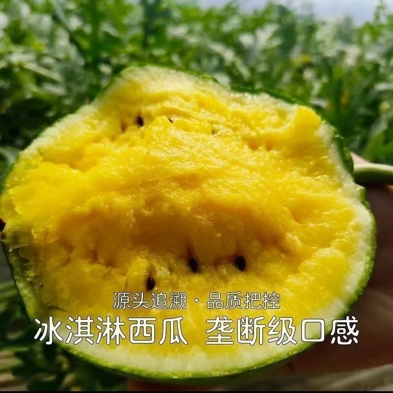 现摘云南产地直发黄色瓤小西瓜手撕薄皮冰激淋口感