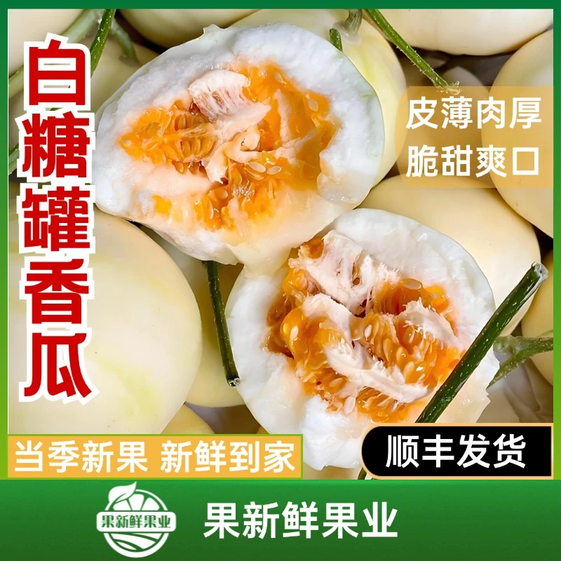 【白糖罐香瓜】（约4斤）皮薄肉厚脆甜爽口新鲜应季同城包邮送货上门（约4斤）