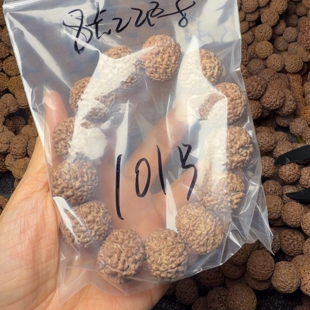金刚菩提手串8瓣卡22尺，101号