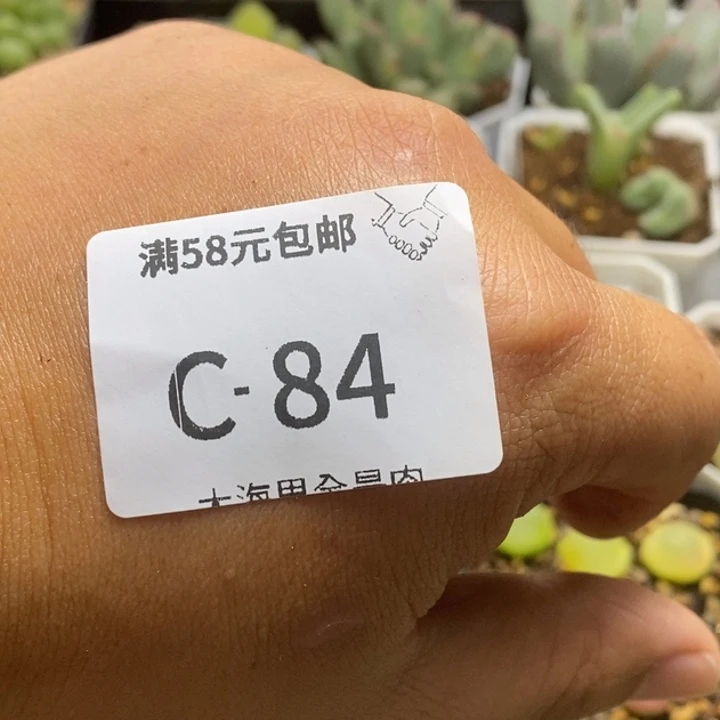 ****宝5656666669999999888