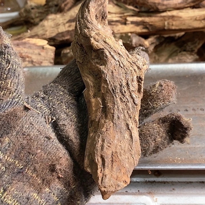 花梨木类王***道海南花梨