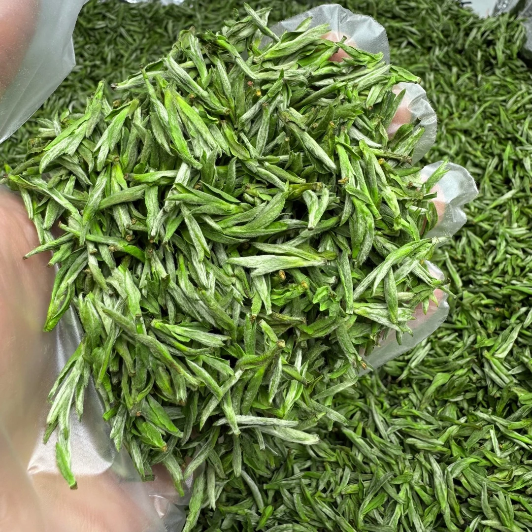 2025年新茶安徽毛峰明前茶