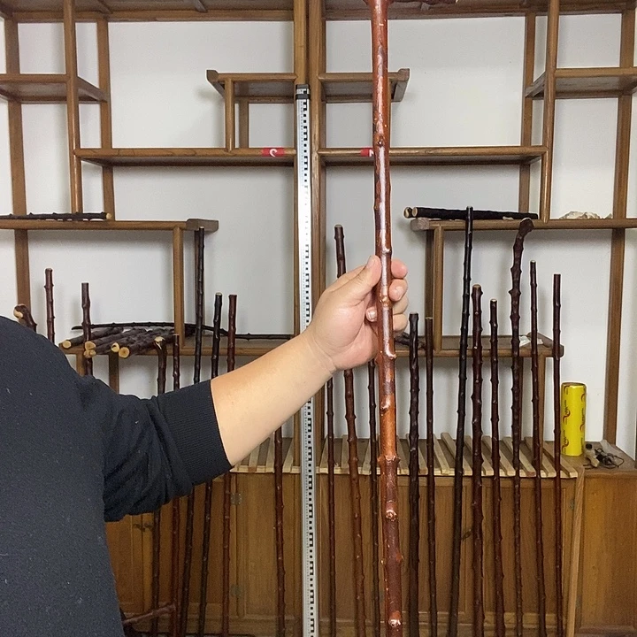 武***修木北对节雀梅拐杖98