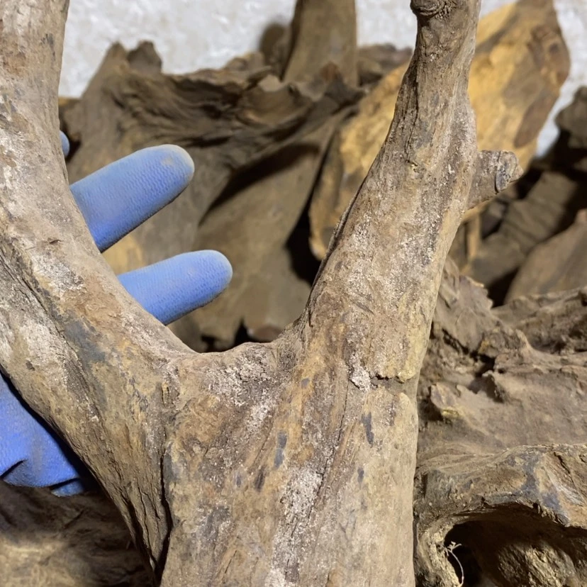 【闪购商品】贡木其他菜**子定制1265899009