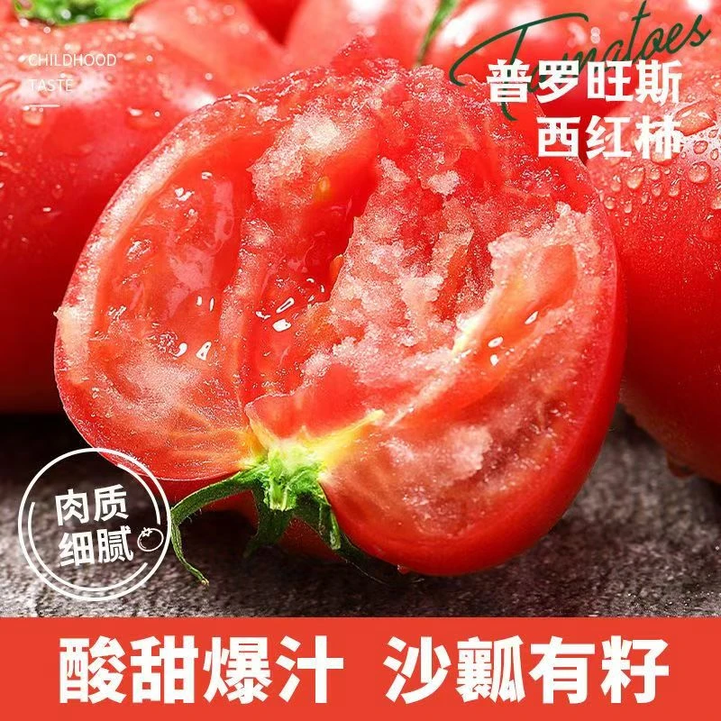 山东普罗旺斯西红柿沙瓤番茄自然成熟新鲜水果蔬菜柿子