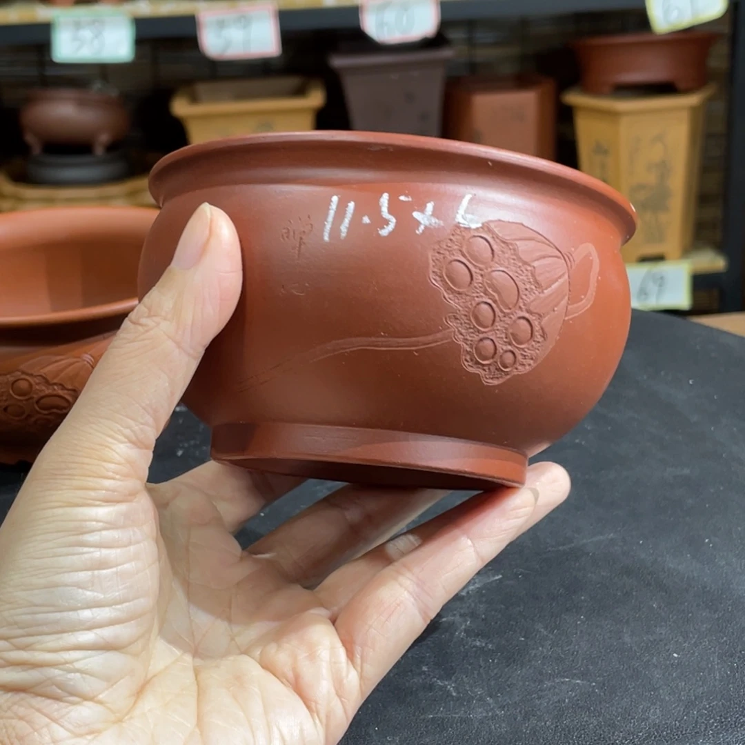 花盆紫砂在干嘛我