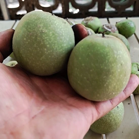 小***鼠桃核把件甲骨文文玩核桃青皮