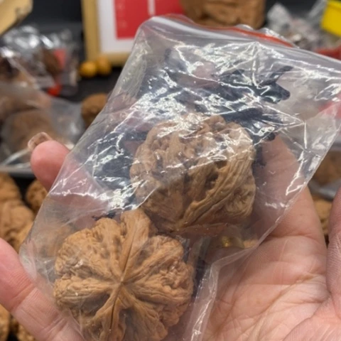 文玩核桃吊坠春*粗筋