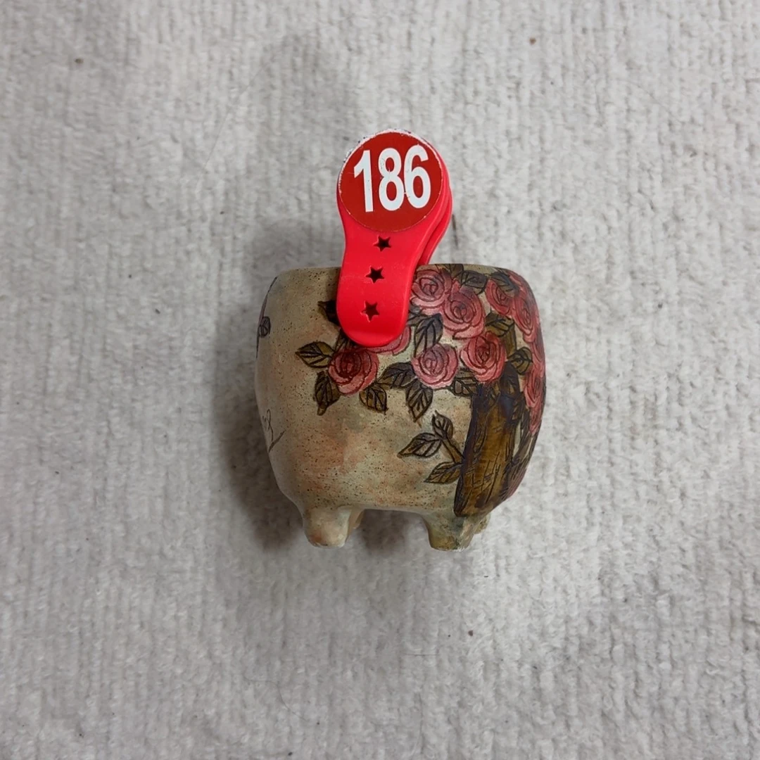 一***光花盆紫砂陶瓷多肉精品花盆