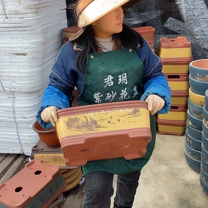 紫砂花盆紫砂花盆