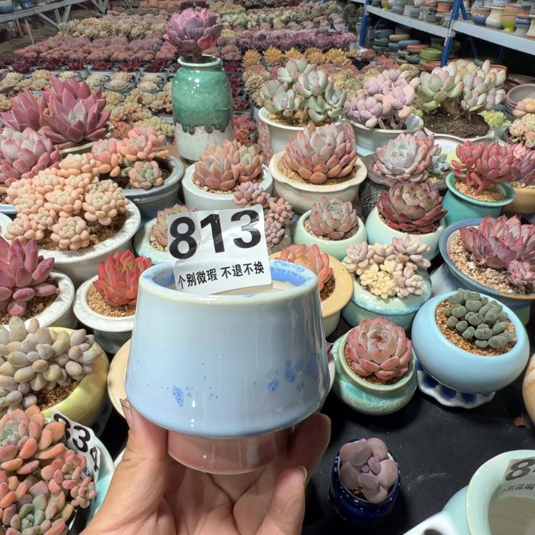 满50发货 内口6高度7.5