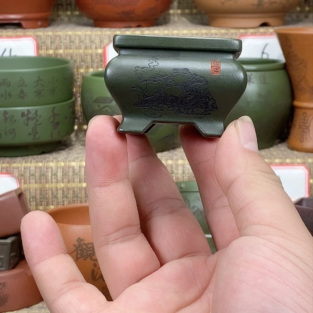 紫砂花盆我在等他