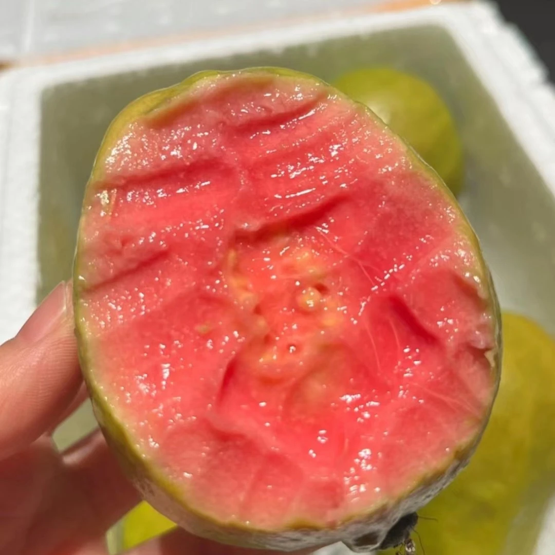 1500克左右芭乐，整箱5到8个果，