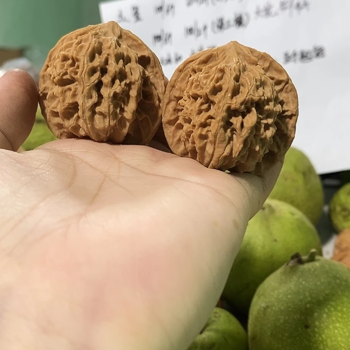 文玩核桃吊坠盘龙纹42磕