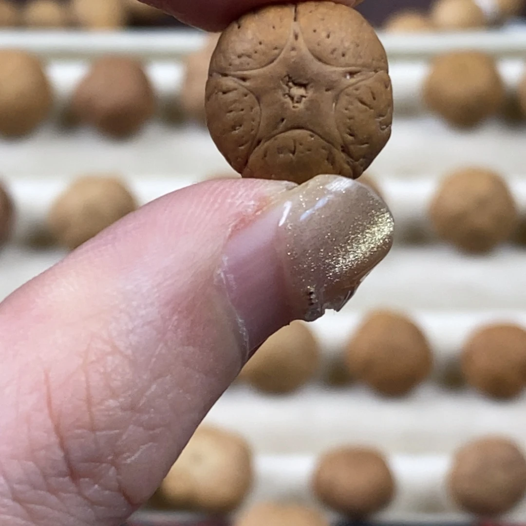 凤眼菩提吊坠五星上将14.8