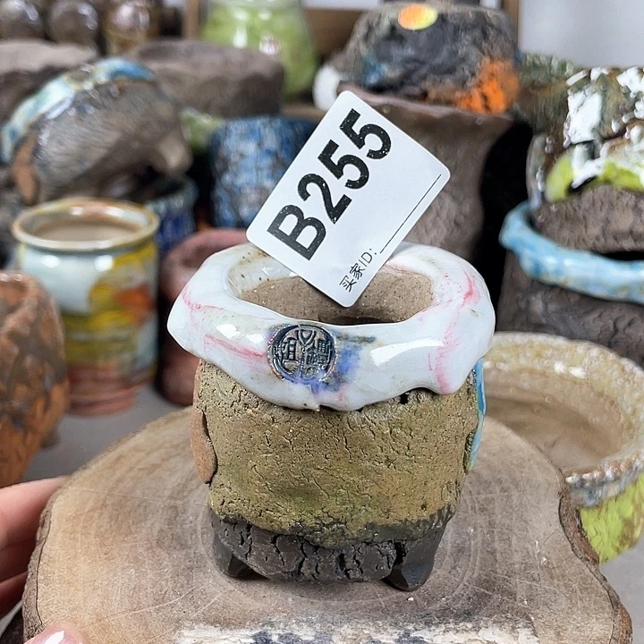 紫砂花盆开播福利 陶瓷花盆