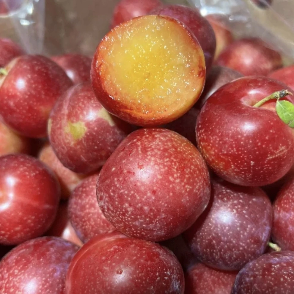 【小胖优选】智利进口樱桃李4J新鲜水果5斤原箱脆爽多汁顺丰包邮